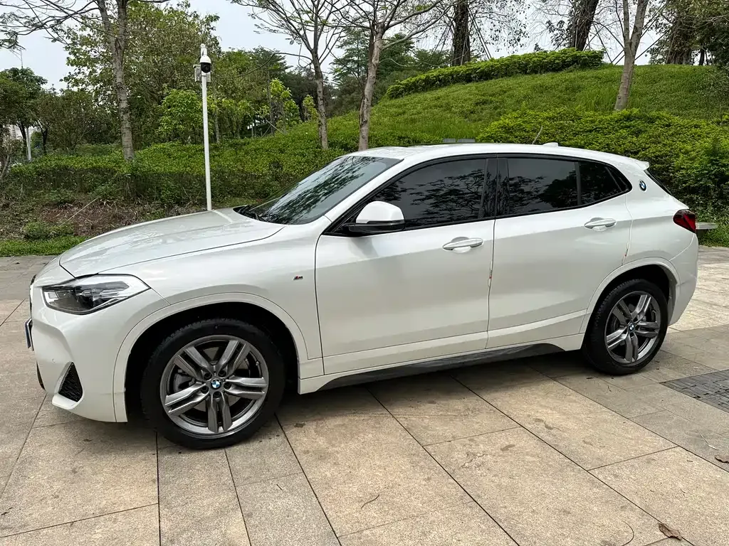 BMW X2 2021 из CN, фото 9