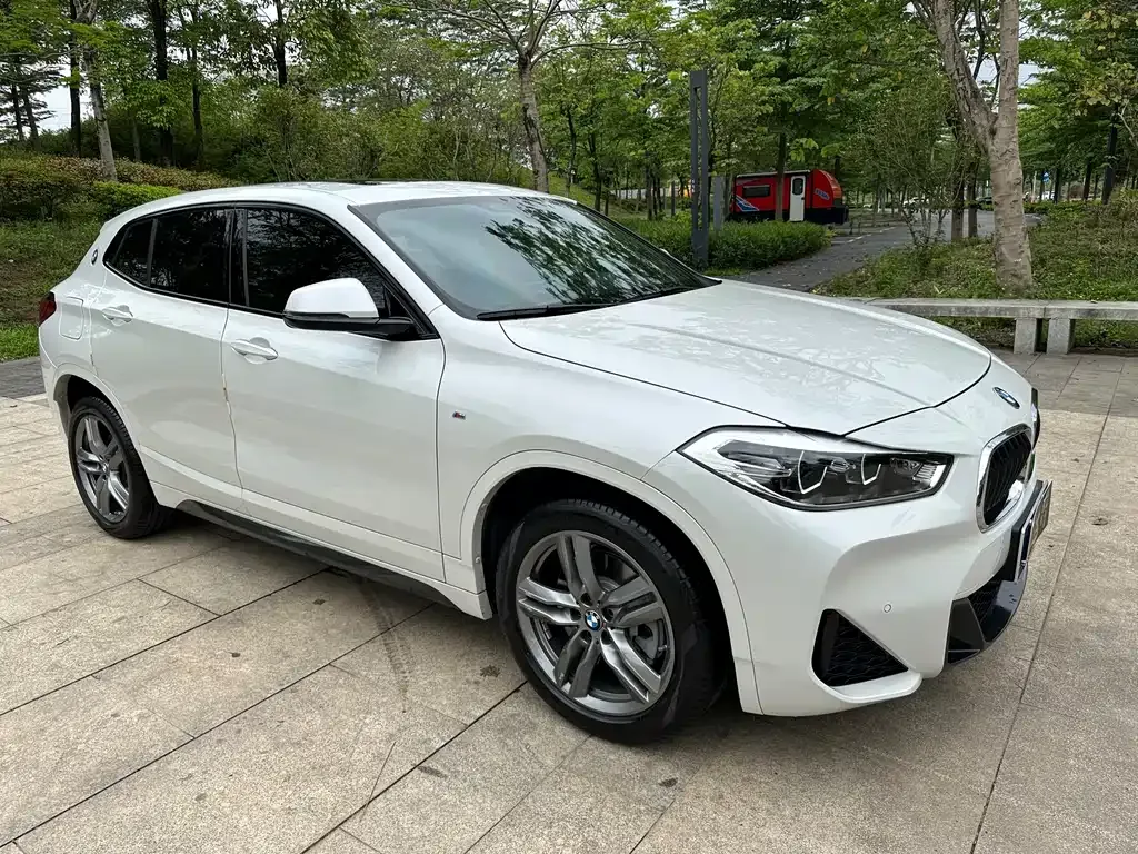 BMW X2 2021 из CN, фото 5