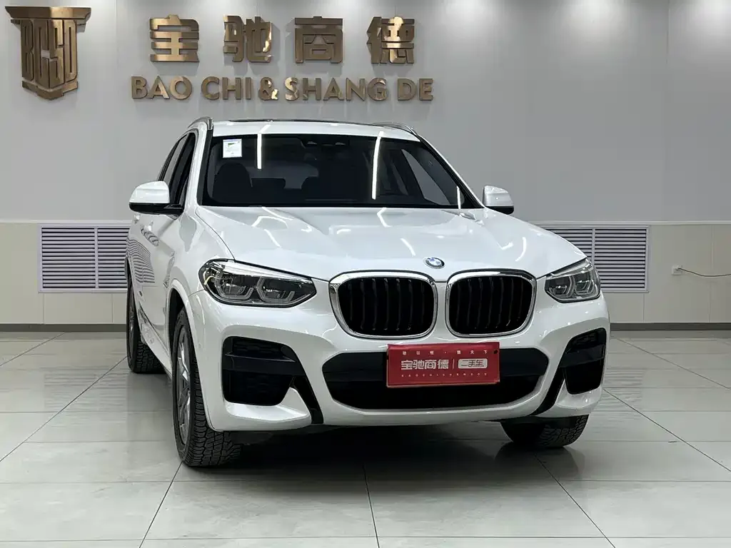 BMW X3 2021 из CN, фото 6