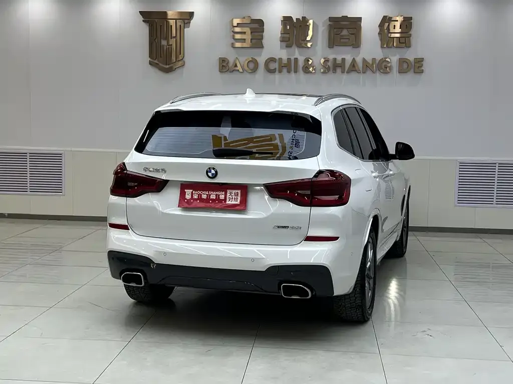 BMW X3 2021 из CN, фото 4