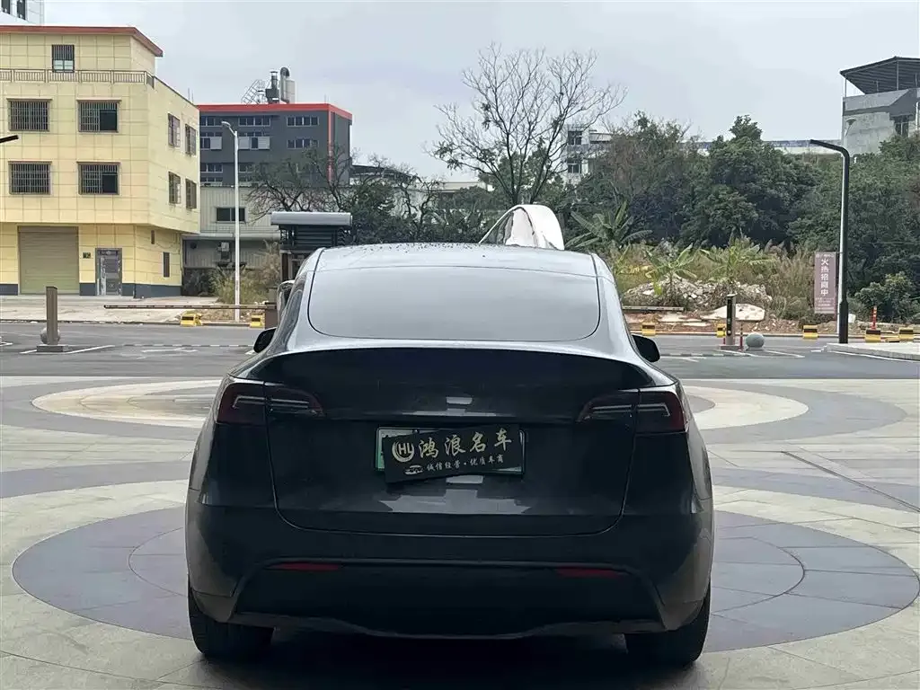Tesla Model Y 2024 из CN, фото 4