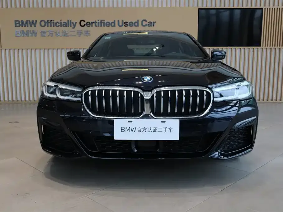 BMW 5 Series New Energy 2024 из CN, фото 8
