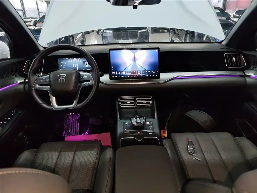 BYD Pro New Energy — фото 9