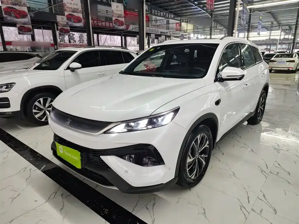 BYD Pro New Energy — фото 10