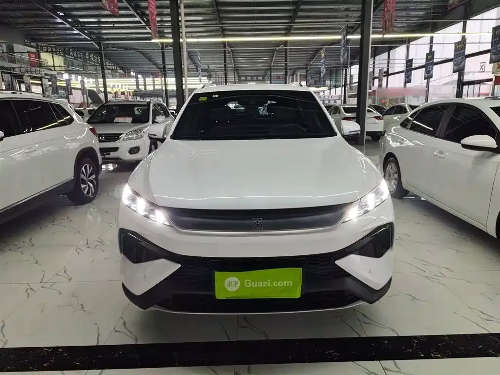 BYD Pro New Energy — фото 3