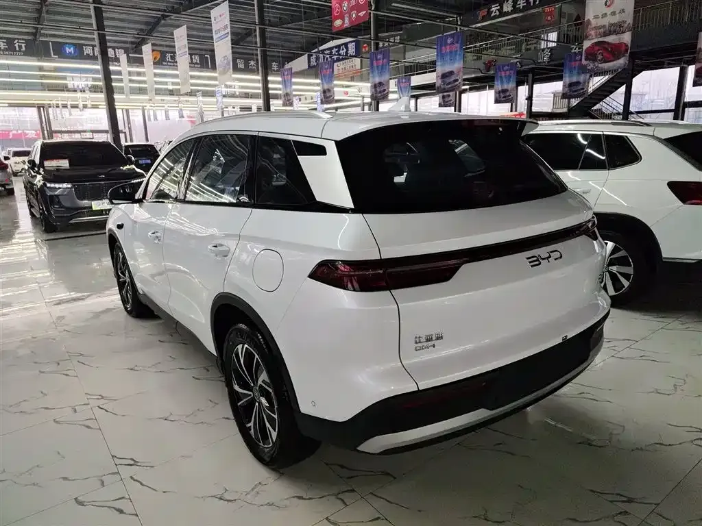 BYD Pro New Energy — фото 6