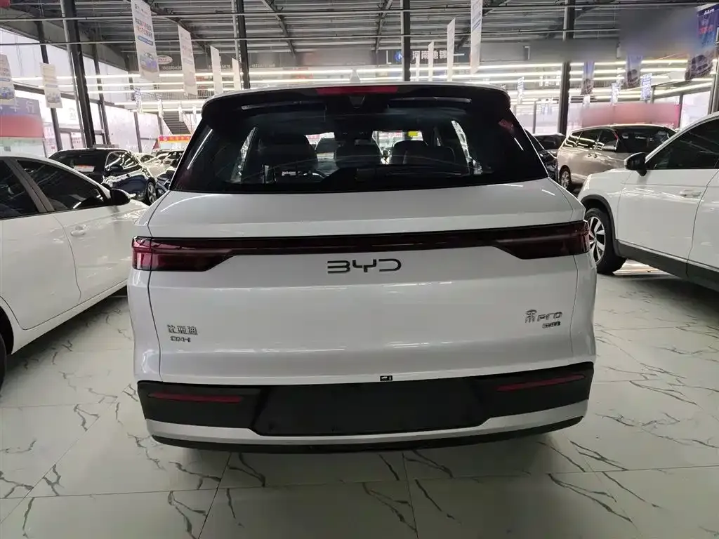 BYD Pro New Energy — фото 4