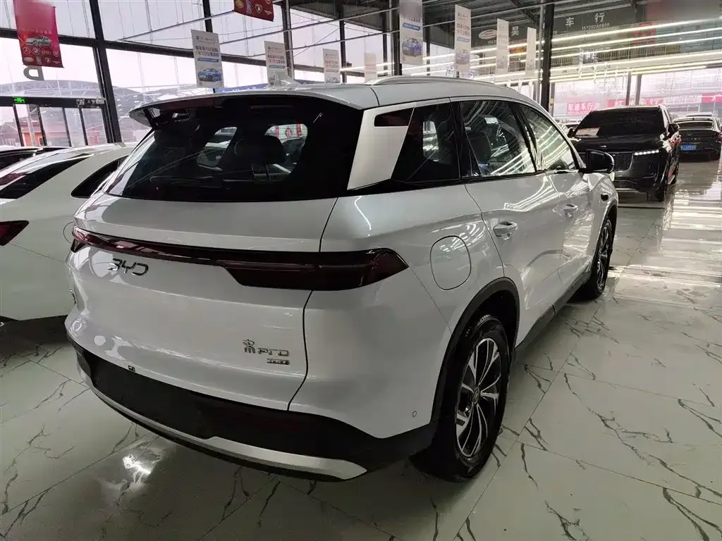 BYD Pro New Energy — фото 8