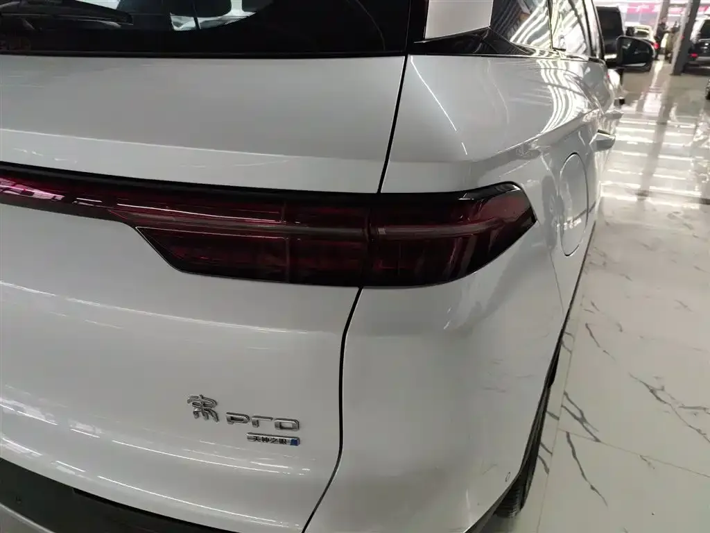 BYD Pro New Energy — фото 2
