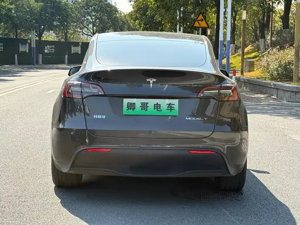 Tesla Model Y 2024 из CN, фото 8