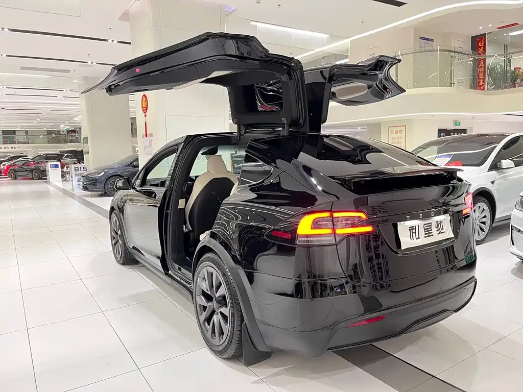 Tesla Model X — фото 9