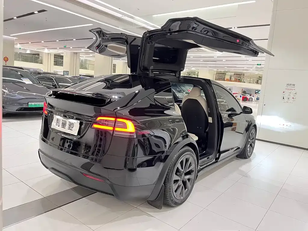 Tesla Model X — фото 7