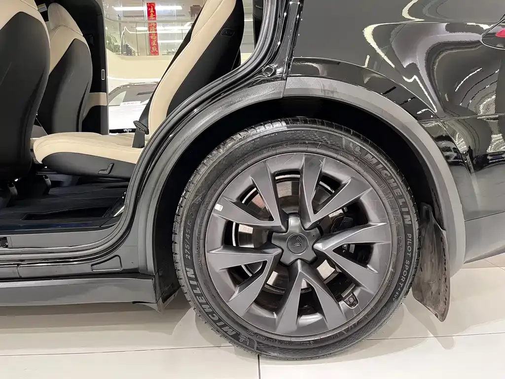 Tesla Model X — фото 8