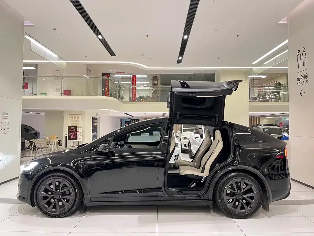 Tesla Model X — фото 5