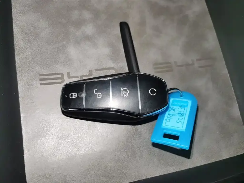 BYD Pro New Energy — фото 4