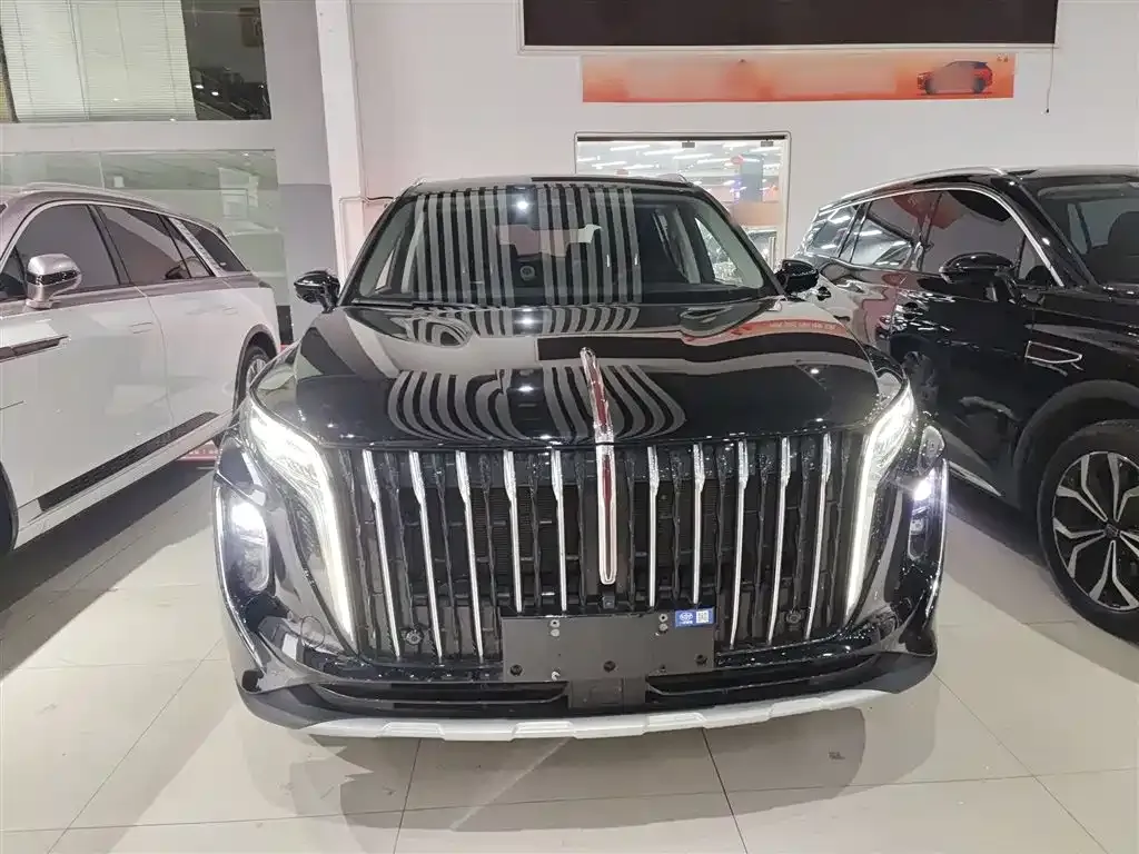 Hongqi HS7 PHEV — фото 8