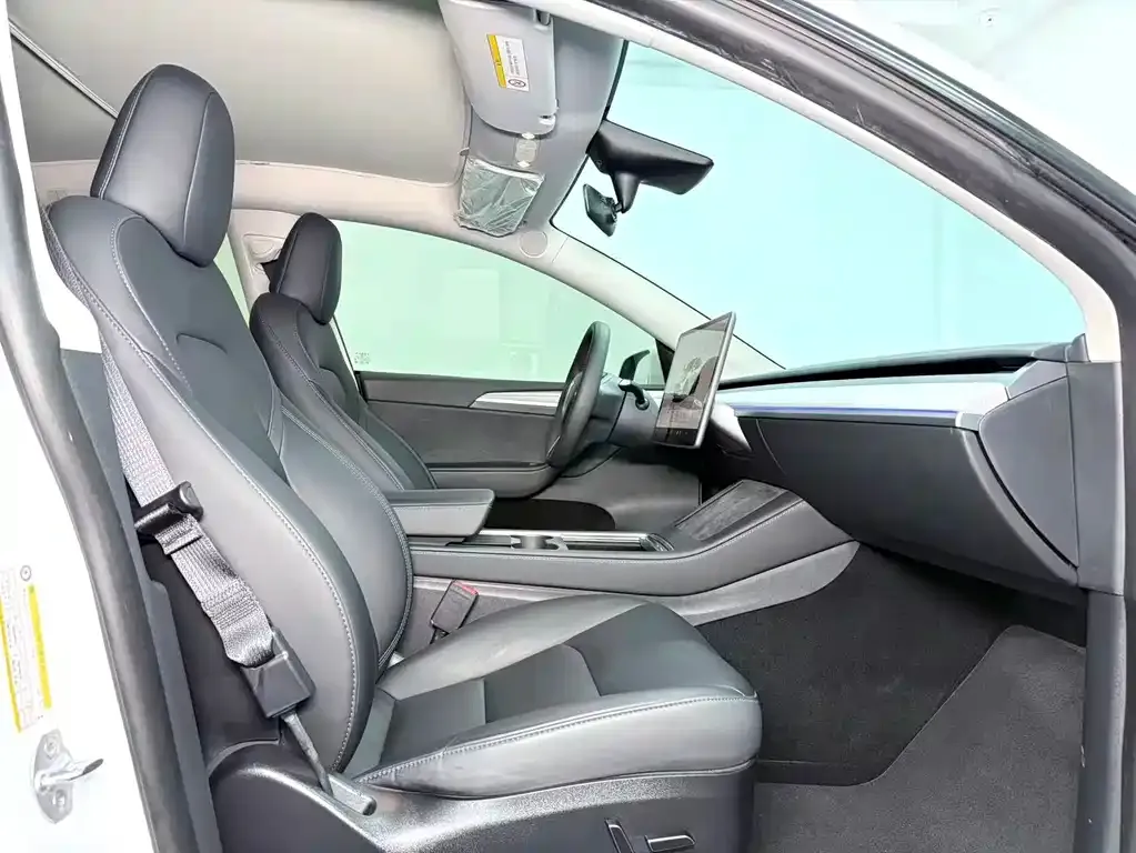 Tesla Model Y 2024 из CN, фото 4