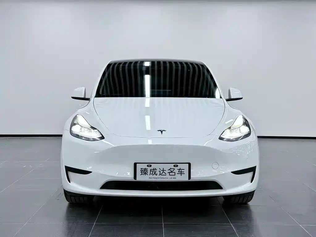 Tesla Model Y 2024 из CN, фото 2