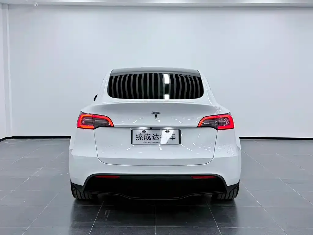 Tesla Model Y 2024 из CN, фото 5