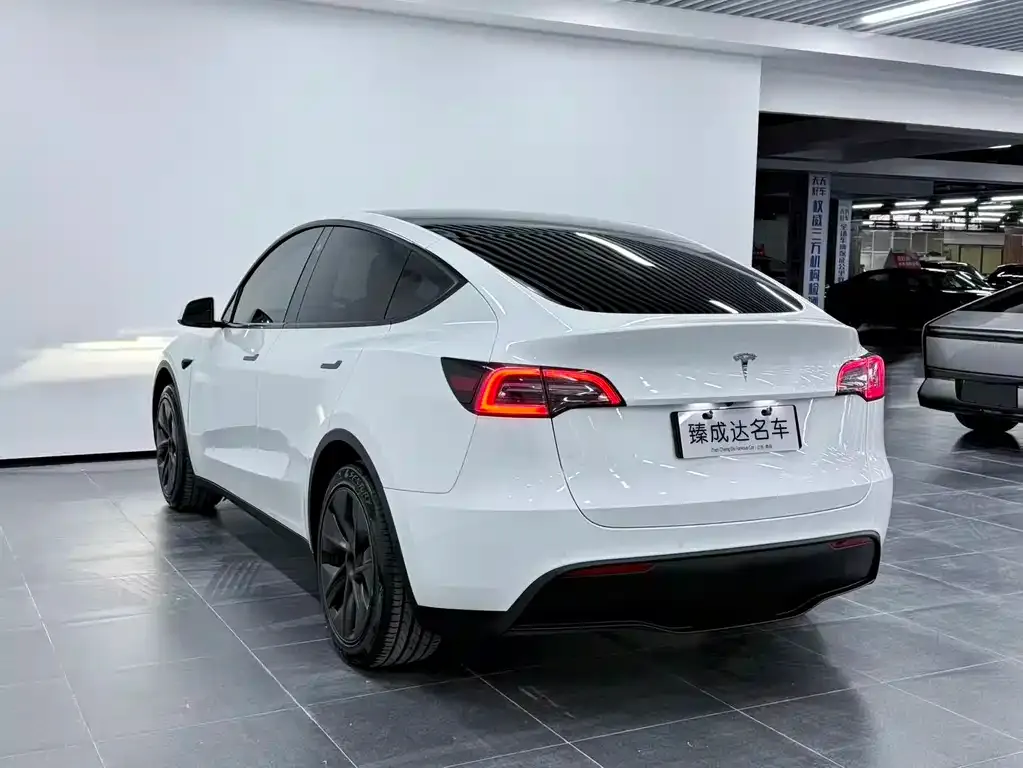 Tesla Model Y 2024 из CN, фото 9