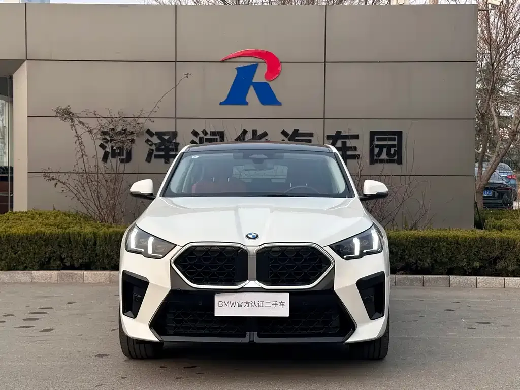 BMW X2 (Import) 2025 из CN, фото 8