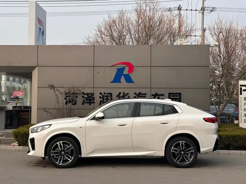 BMW X2 (Import) 2025 из CN, фото 9