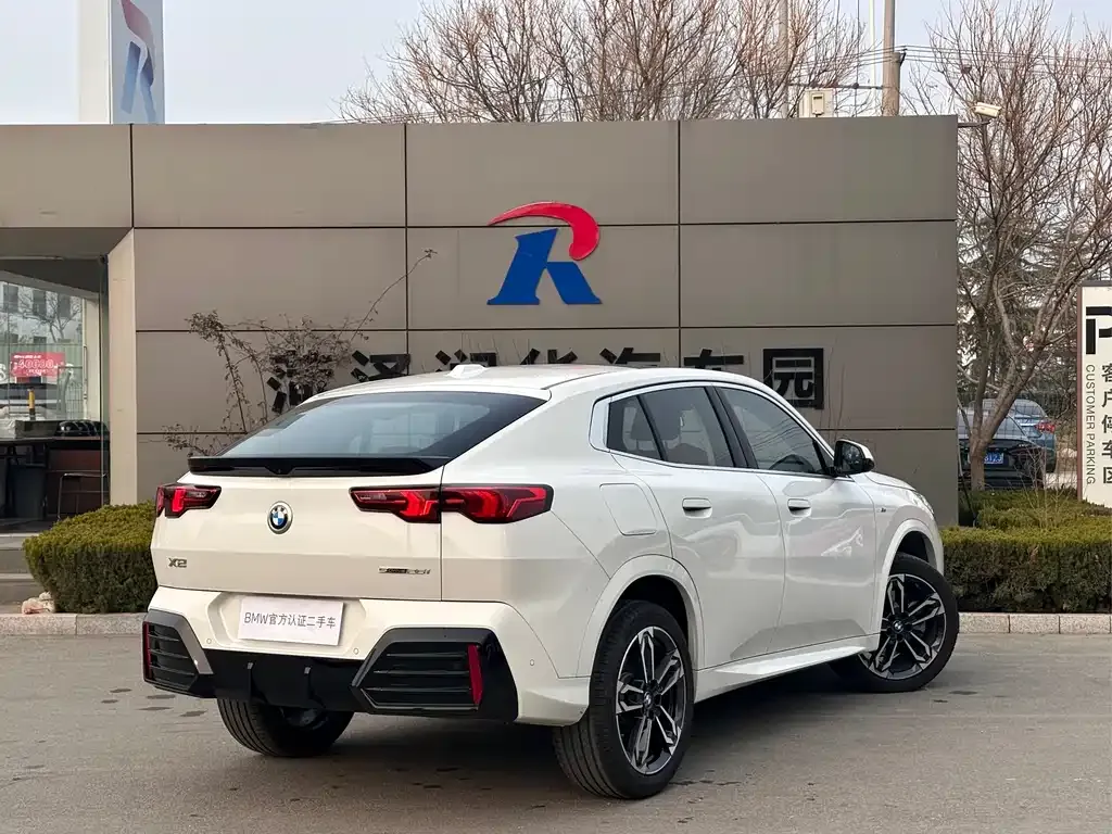 BMW X2 (Import) 2025 из CN, фото 6