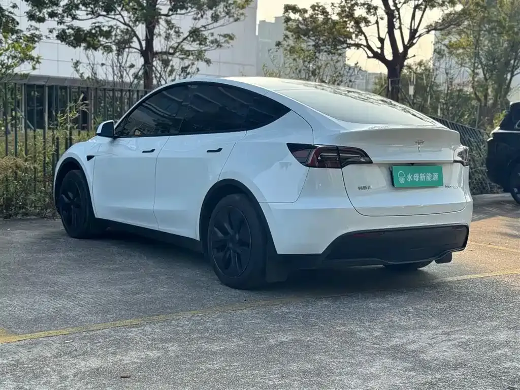 Tesla Model Y — фото 7