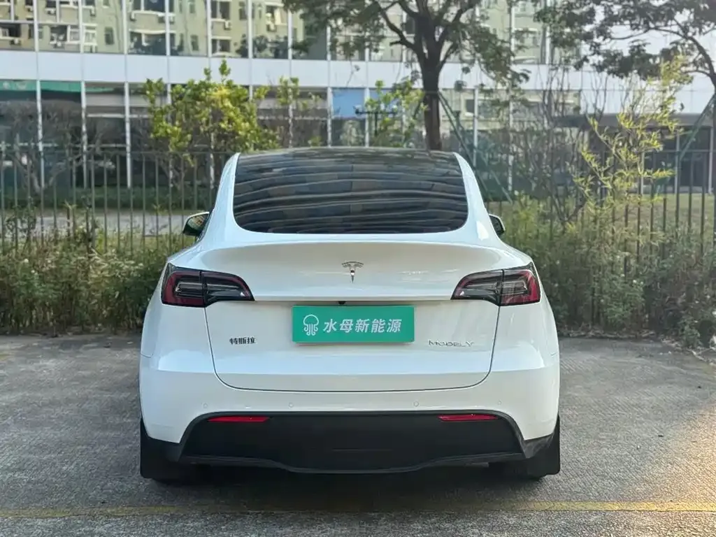 Tesla Model Y — фото 6