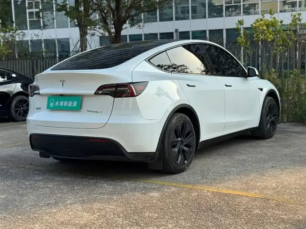 Tesla Model Y — фото 8