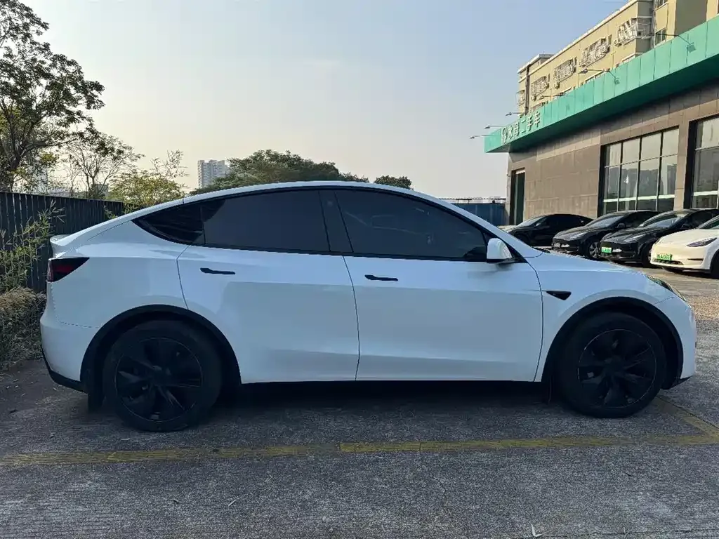 Tesla Model Y — фото 10