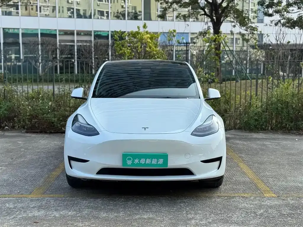 Tesla Model Y — фото 9