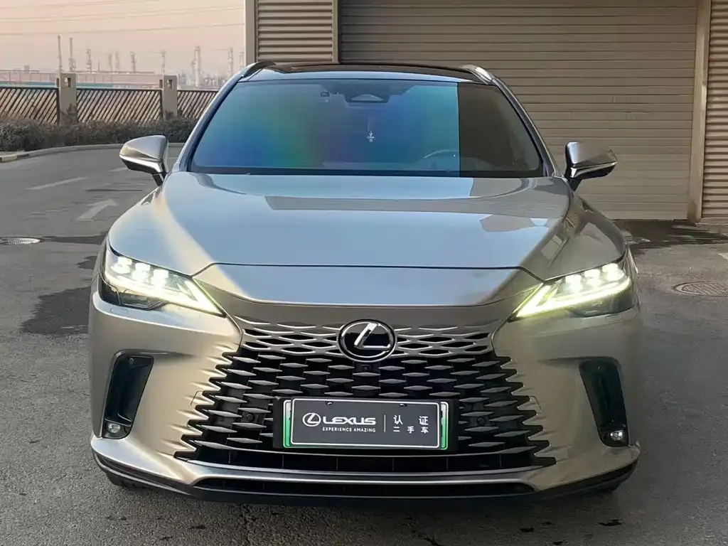 Lexus RX New Energy 2023 из CN, фото 5