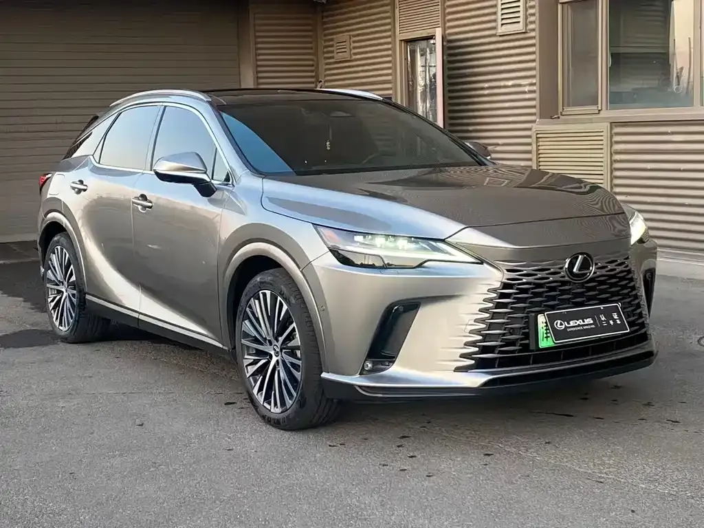 Lexus RX New Energy 2023 из CN, фото 9
