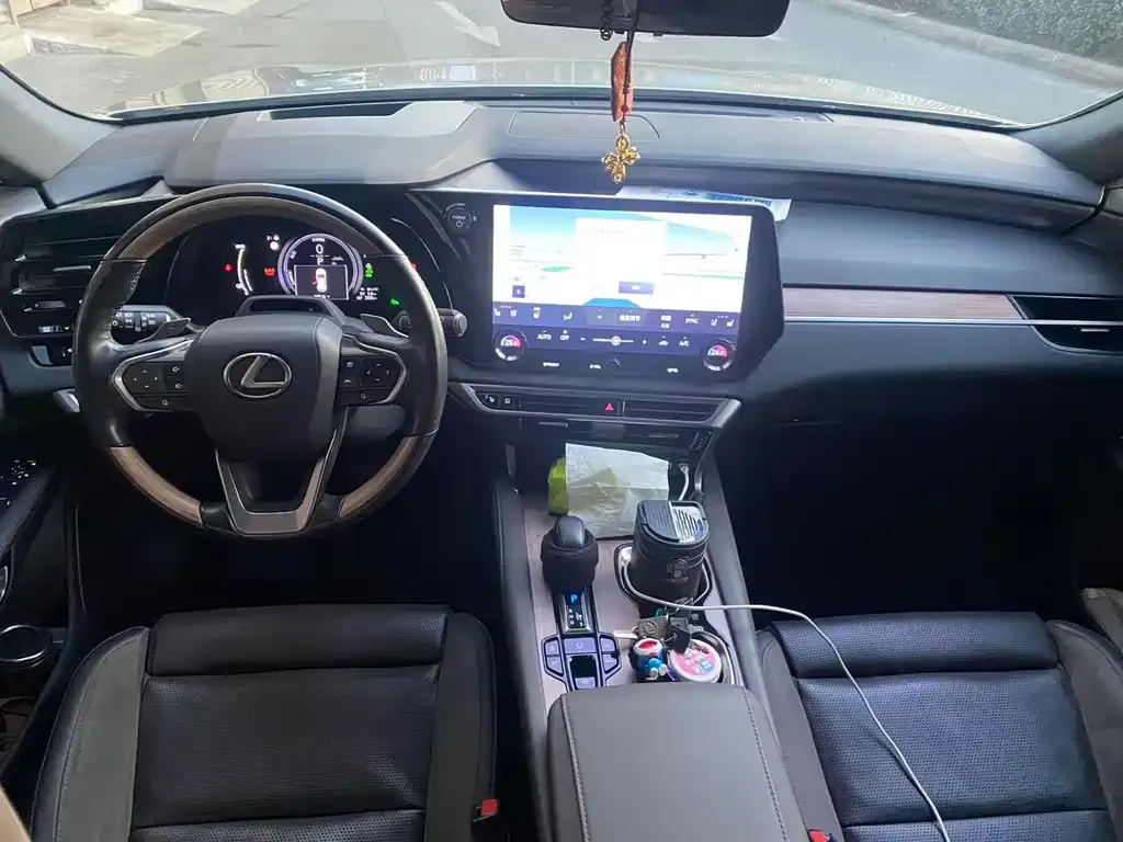 Lexus RX New Energy 2023 из CN, фото 2