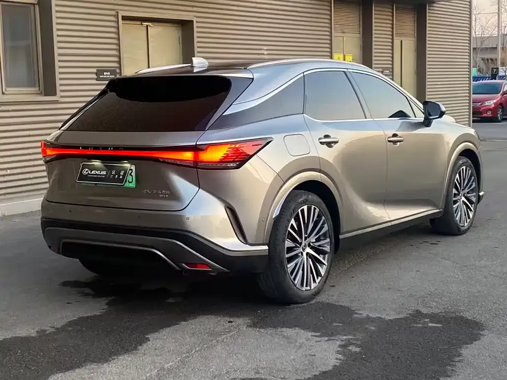 Lexus RX New Energy 2023 из CN, фото 7