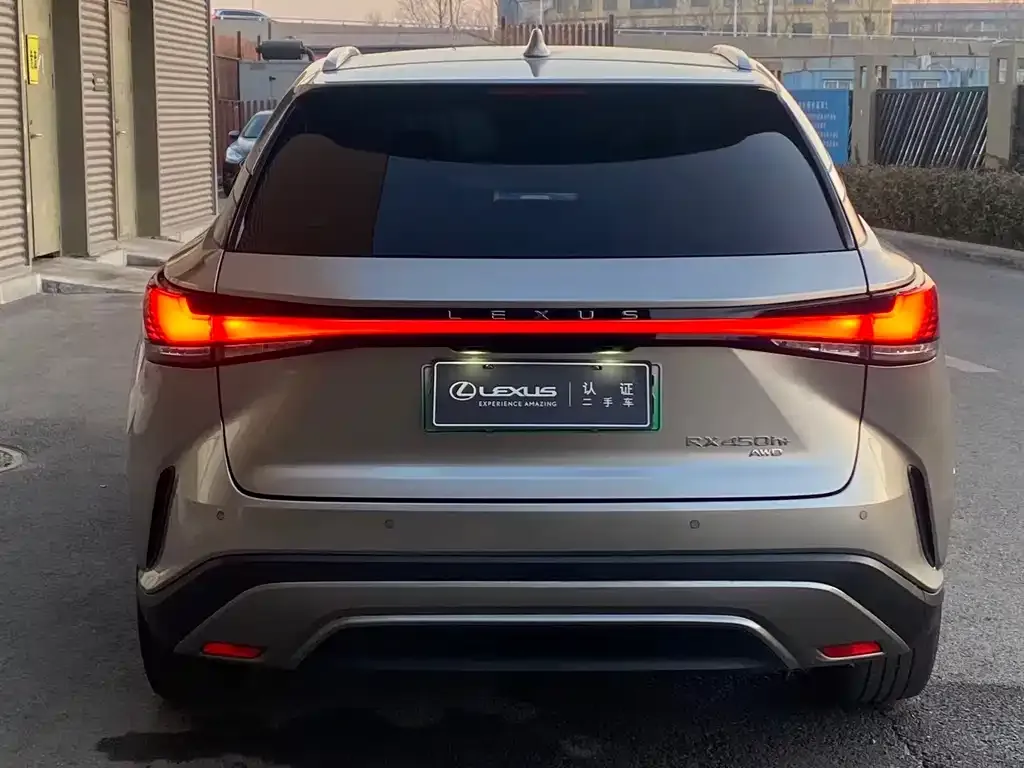 Lexus RX New Energy 2023 из CN, фото 6