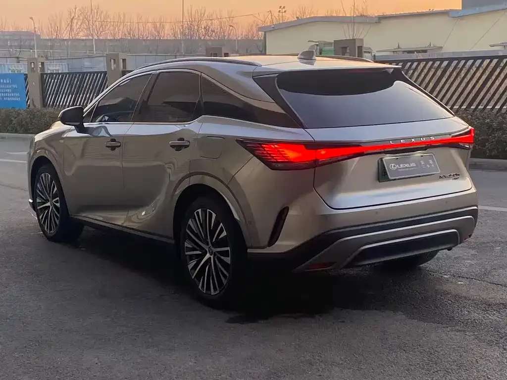 Lexus RX New Energy 2023 из CN, фото 8