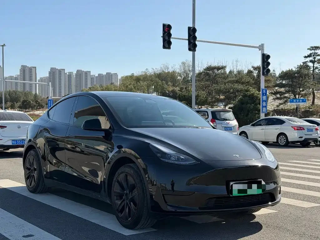 Tesla Model Y 2023 из CN, фото 10
