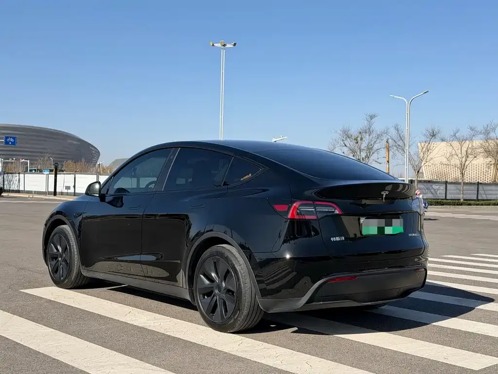 Tesla Model Y 2023 из CN, фото 2