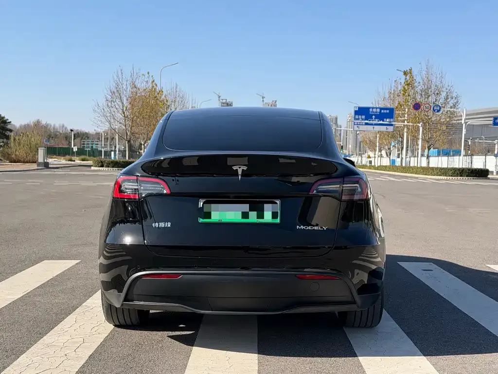 Tesla Model Y 2023 из CN, фото 3