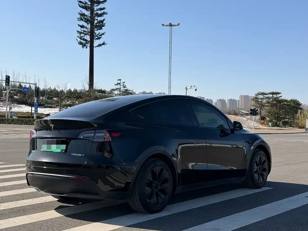 Tesla Model Y 2023 из CN, фото 9