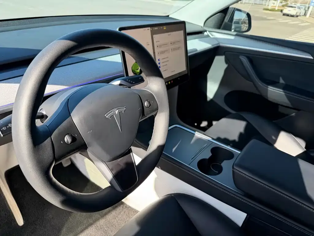 Tesla Model Y 2023 из CN, фото 5