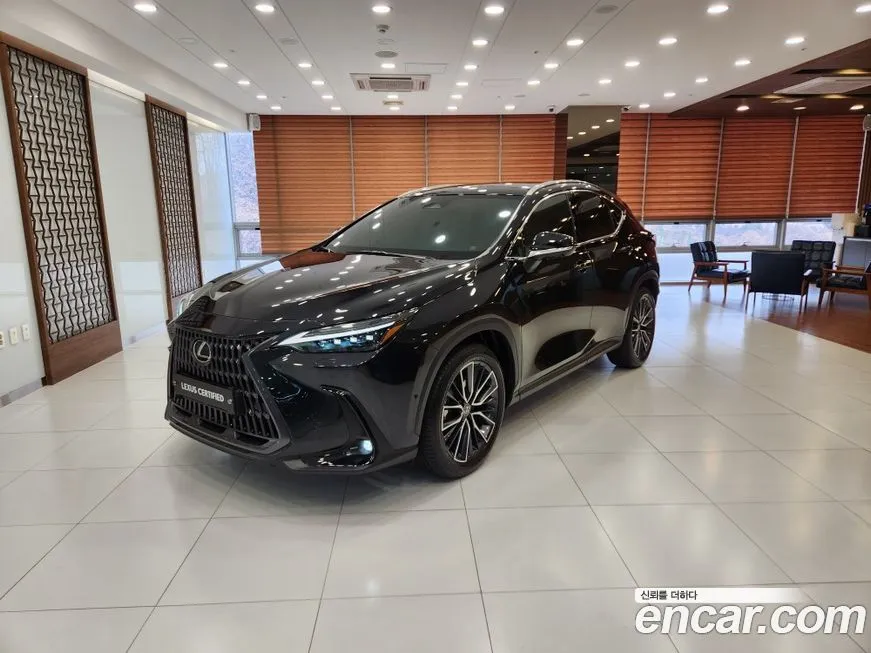 Lexus NX 2025 из KR, фото 1