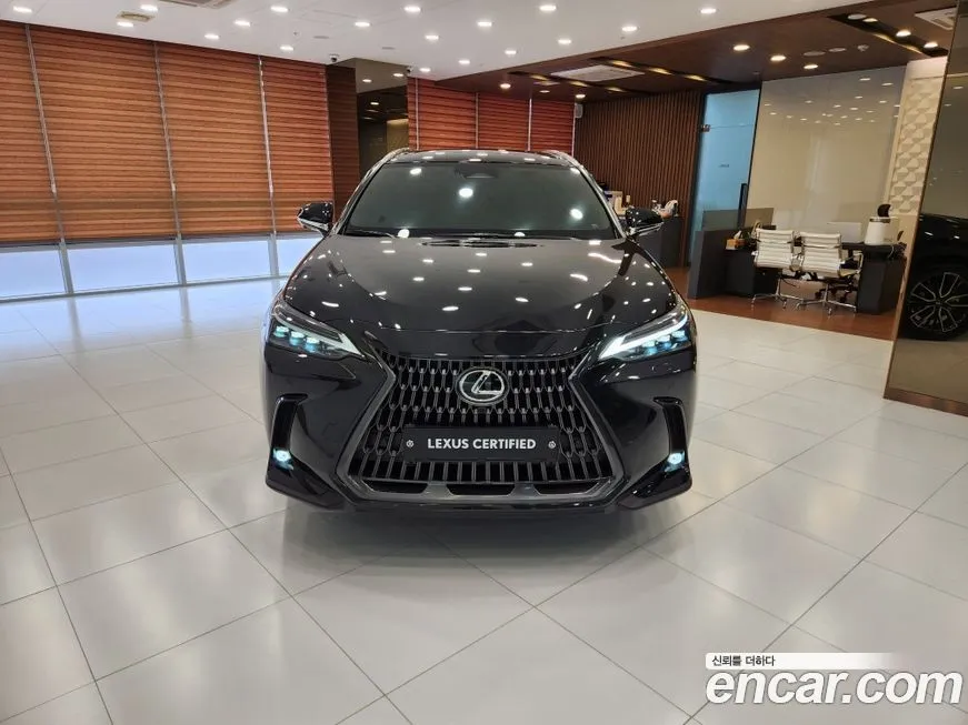 Lexus NX 2025 из KR, фото 5