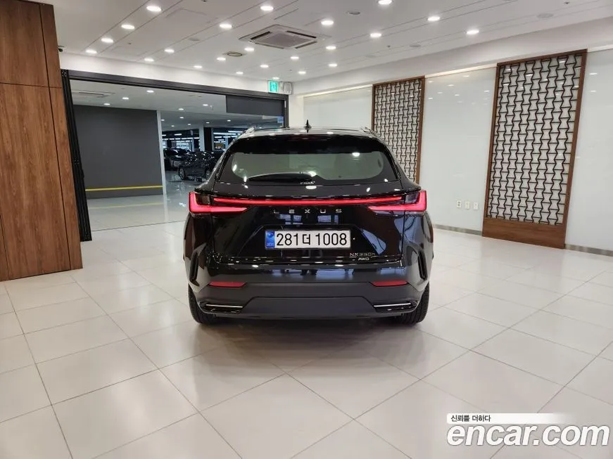Lexus NX 2025 из KR, фото 2