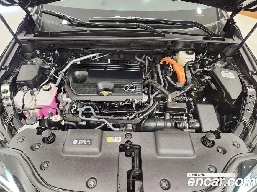 Lexus NX 2025 из KR, фото 9