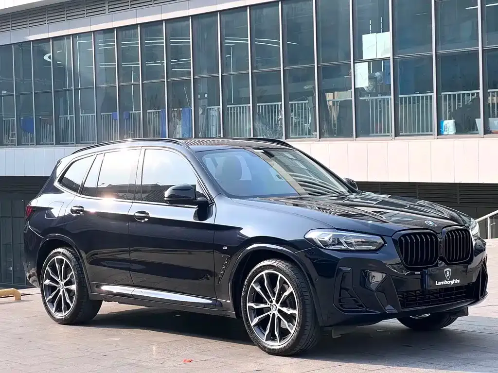 BMW X3 2023 из CN, фото 4