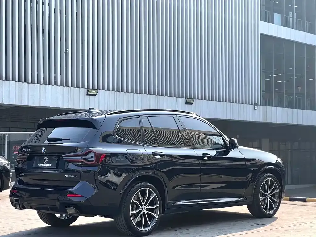 BMW X3 2023 из CN, фото 6