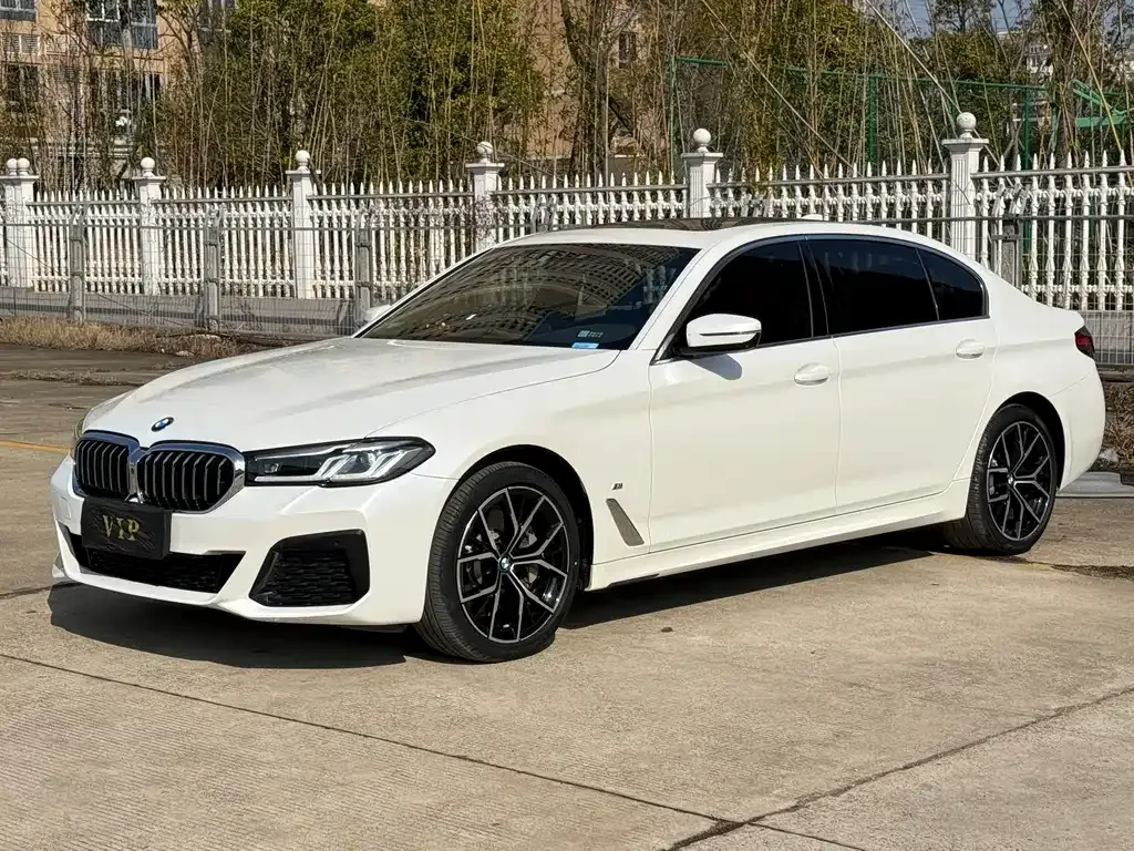 BMW 5 Series 2022 из CN, фото 1